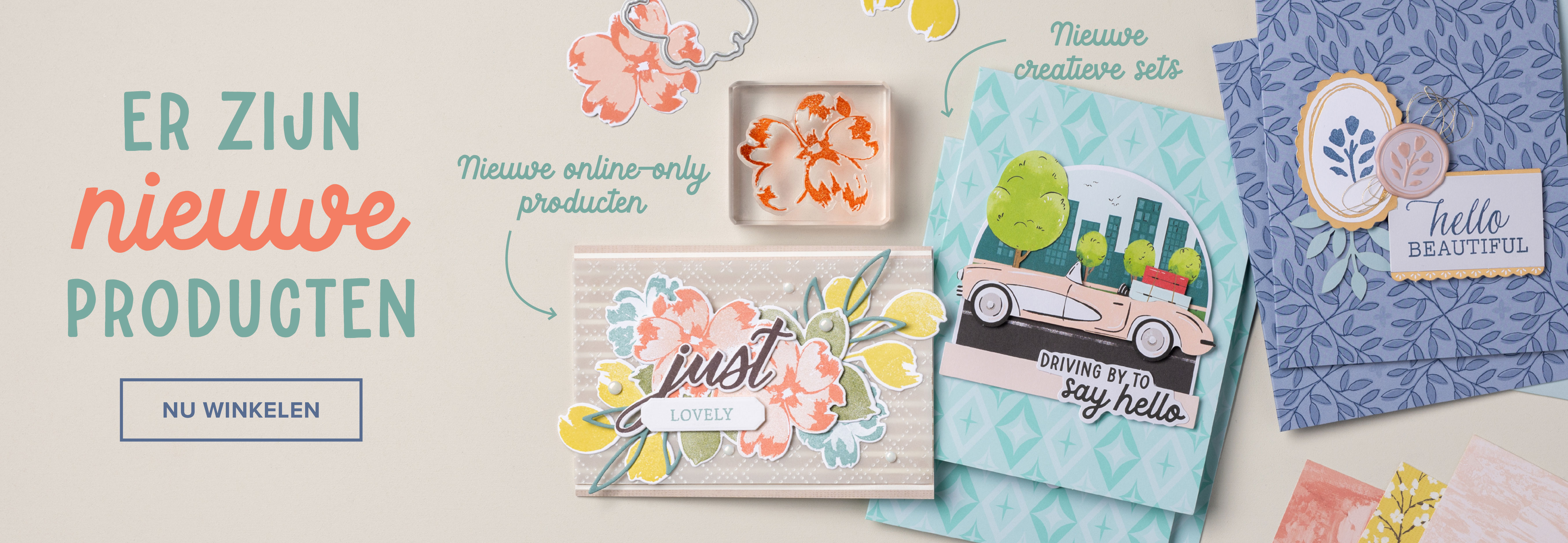 Dbws hmpg wnew nl 1125 product consolidation